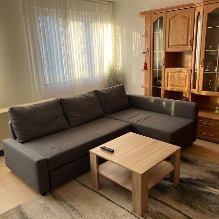 Schoene Ferienwohnung In Saarbrücken Eksteriør billede