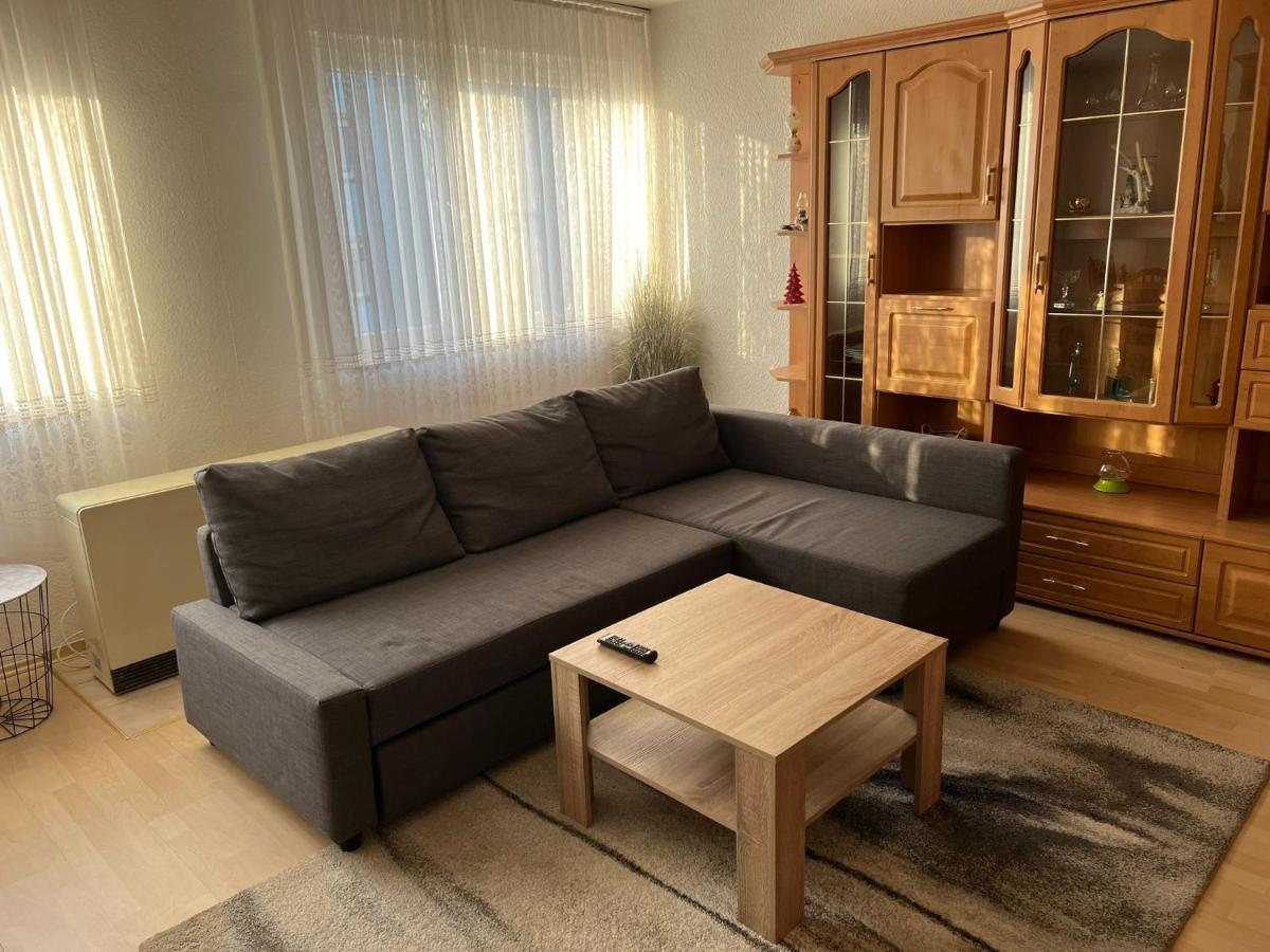 Schoene Ferienwohnung In Saarbrücken Eksteriør billede
